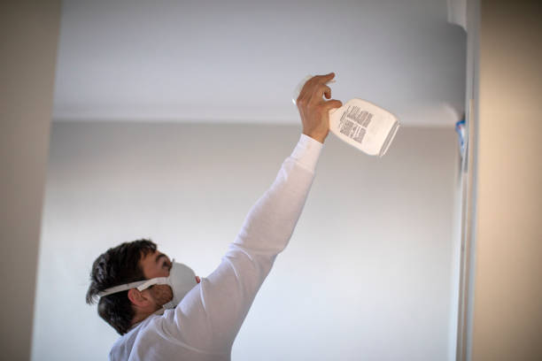 Best Fast Mold Removal  in Roxborough Park, CO