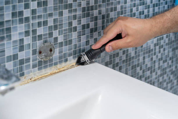 Best Same-Day Mold Removal  in Roxborough Park, CO