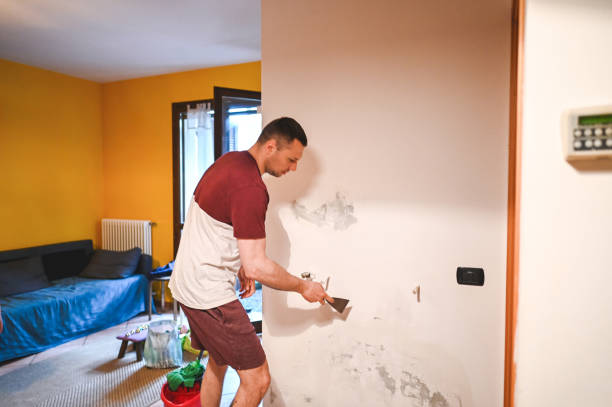 Best Home Mold Removal  in Roxborough Park, CO