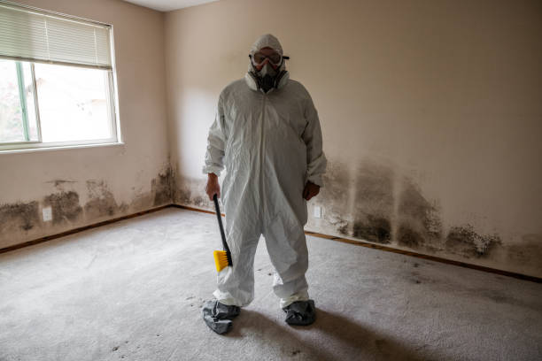 Best Certified Mold Removal  in Roxborough Park, CO